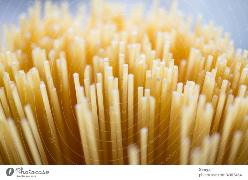 Spaghetti Nudeln Lebensmittel Ernährung Italienische Küche Mittagessen Vegetarische Ernährung Nahaufnahme Teigwaren