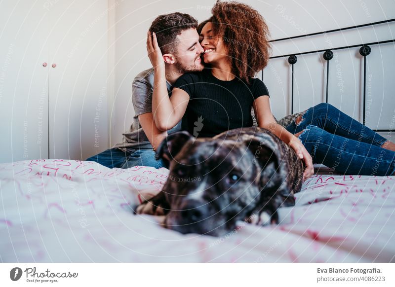 glückliches Paar in der Liebe zu Hause. Afroamerikanische Frau, kaukasischen Mann und ihre Pitbull-Hund zusammen. Familie Konzept Afroamerikaner ethnisch