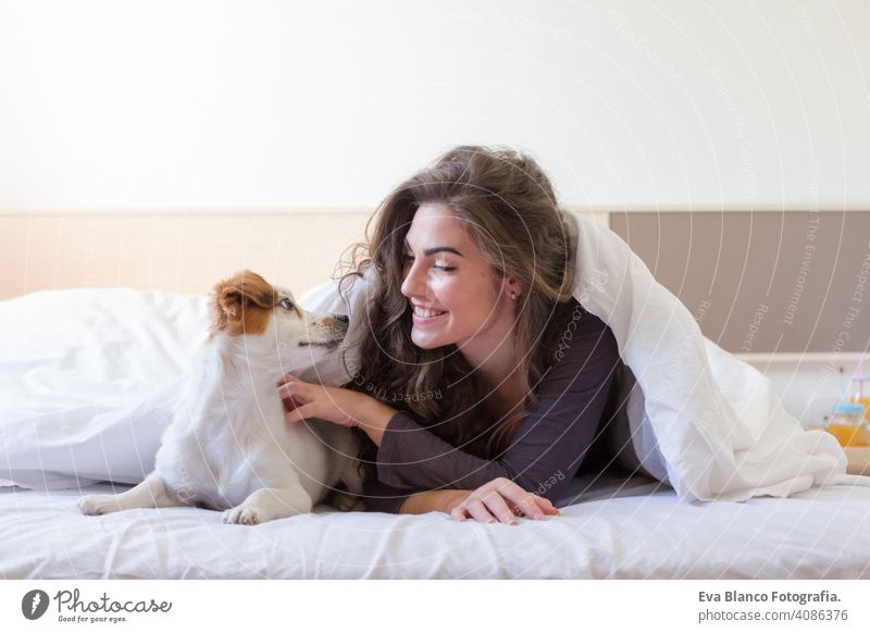 schöne junge Frau auf dem Bett liegend unter der weißen Decke mit ihrem niedlichen kleinen Hund. Zuhause, drinnen und Lifestyle gemütlich müde träumen Stimmung
