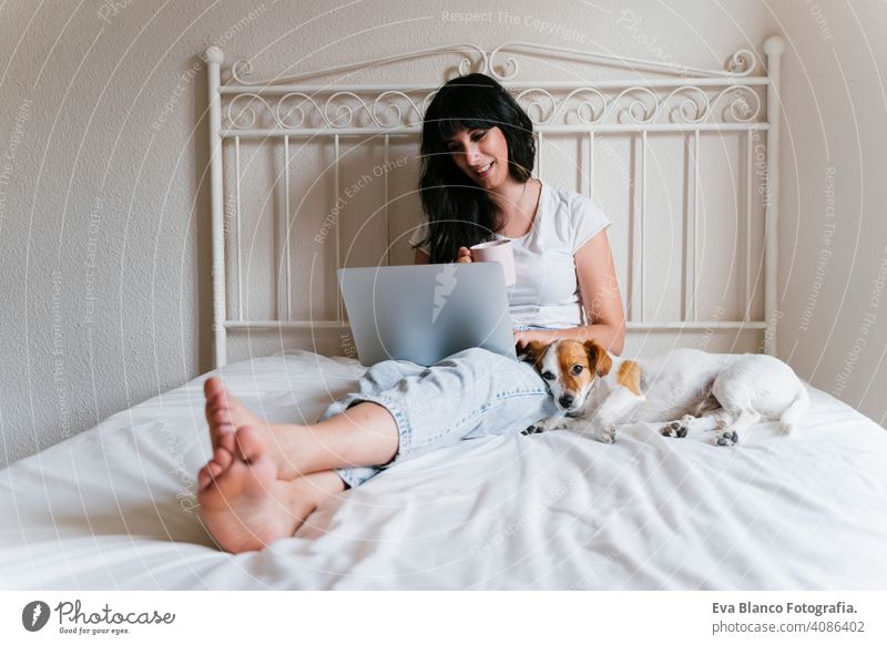 Junge kaukasische Frau auf dem Bett arbeitet am Laptop. Netter kleiner Hund liegt daneben. Liebe für Tiere und Technologie-Konzept. Lebensstil im Innenbereich