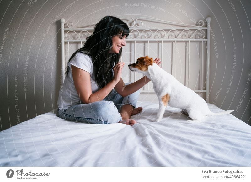 junge kaukasische Frau auf dem Bett mit ihrem niedlichen kleinen Hund spielen und geben ihm Leckereien. Liebe für Tiere Konzept. Lebensstil im Innenbereich