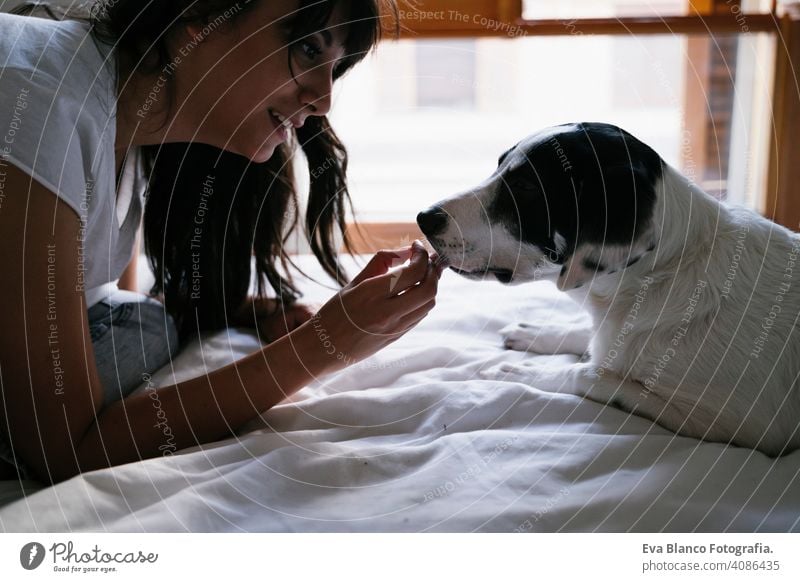 junge kaukasische Frau auf dem Bett mit ihrem niedlichen Welpen Hund spielen und geben ihm Leckereien. Liebe für Tiere Konzept. Lebensstil im Innenbereich