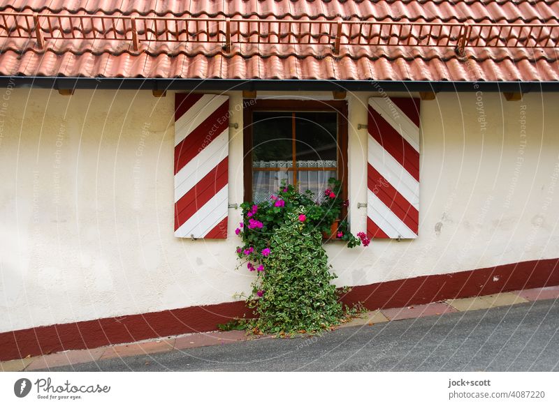 schräge traditionelle dekorative Fenstergestaltung Fensterladen Fassade Haus Dachschräge Schneefanggitter blühende Blume Fensterschmuck Straße Steigung Streifen