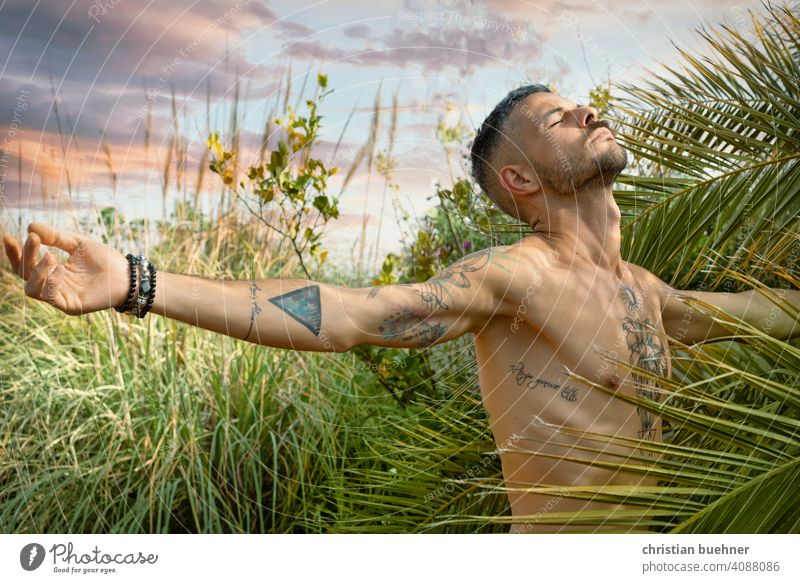 mann breitet die arme aus und atmet in der natur portrait 30 jahre nackt pflanzen palmen garten glueck im einklang himmel freude klima klimaschutz atmen umarmen