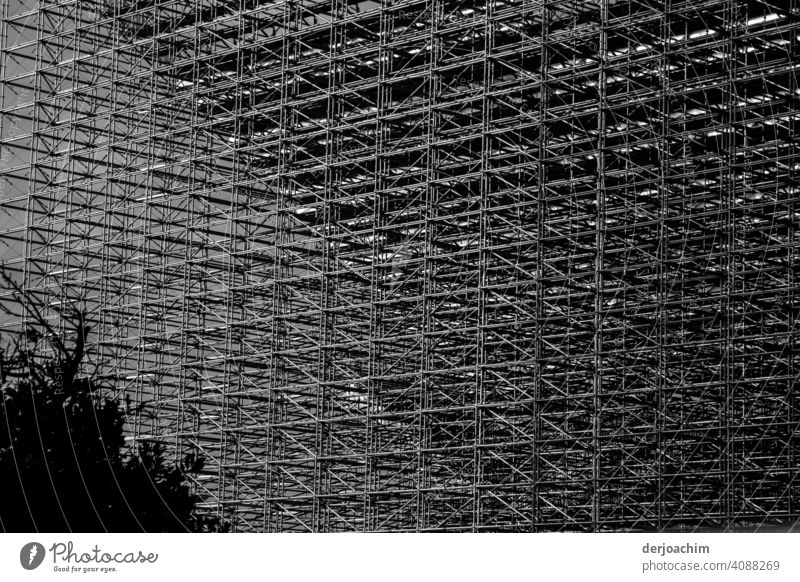 Gitterwand einer Tribüne von hinten mit Baum  ,  in SW Gitternetz Außenaufnahme Menschenleer Strukturen & Formen Metall Detailaufnahme Zaun Metallzaun