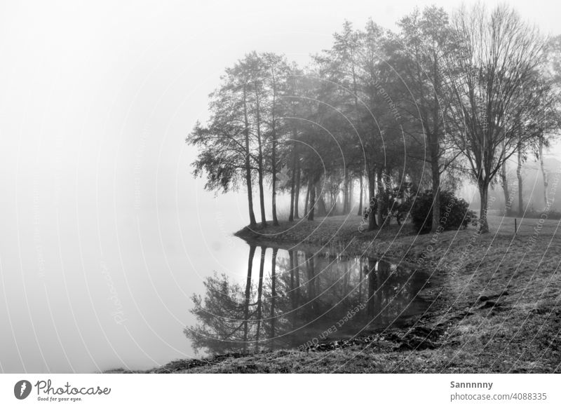 Spiegelung der Bäume im See Stimmung Stimmungsbild stimmungsvoll Spiegelung im Wasser Schwarzweißfoto schwarzweiß Nebel Morgen Natur