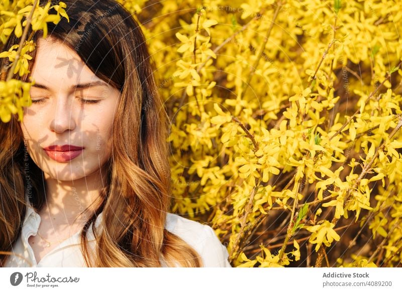 Schöne Frau mit geschlossenen Augen inmitten von gelben Blumen Baum Überstrahlung träumend Niederlassungen Frühling Lächeln sonnig Garten jung Blüte Flora