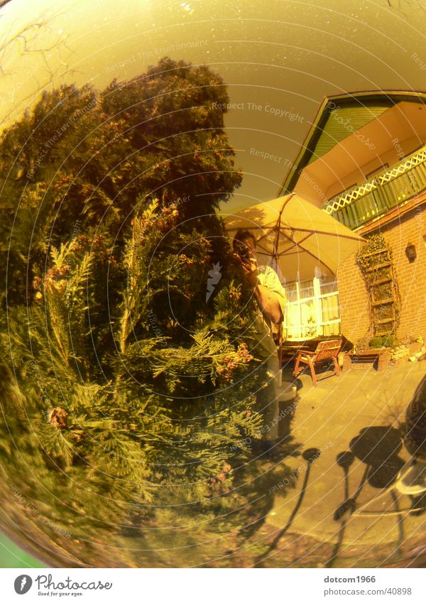 Kugelwelt gelb Sommer Terrasse Häusliches Leben Reflektion Garten