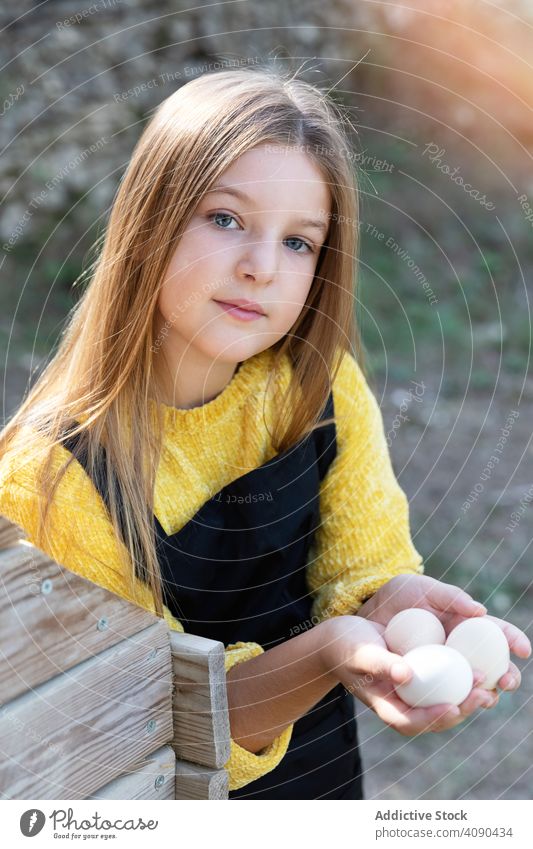 Mädchen nimmt Eier aus Hühnernest Nest Bauernhof Hähnchen roh frisch Landschaft Hilfsbereitschaft Kind Hausarbeiten Haushalt Ackerbau niedlich hübsch