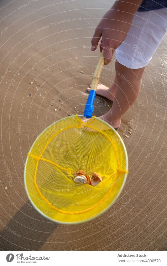 Gelbes Schiebernetz mit Muscheln Netz Strand Sommer Sand nautisch marin Meer reisen MEER Seeküste Tourismus spielen Freizeit Feiertage Kind Urlaub Wochenende