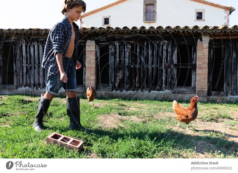 Junge füttert Hühner auf Bauernhof Koppel füttern Teenager Natur Sommer Kind ländlich Federvieh Lebensmittel Ackerbau heimisch Lifestyle Stehen Dorf Haus