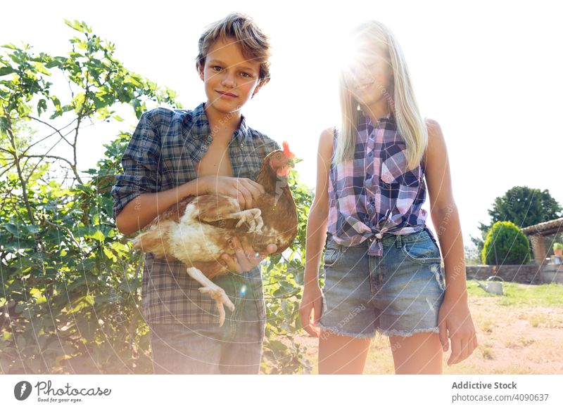 Fröhliche Geschwister mit Huhn auf dem Bauernhof Hähnchen Lächeln Streicheln Teenager Sträucher sonnig tagsüber Zusammensein Schwester Bruder Mädchen Junge Tier