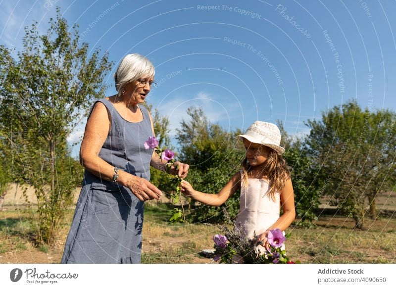 Großmutter und Enkelin pflücken Blumen im Garten Kommissionierung Zusammensein Bauernhof Familie sonnig tagsüber Frau Kind älter Senior reif