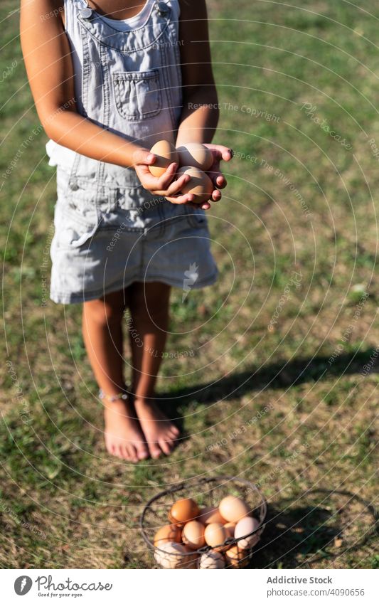 Ernte kleines Mädchen trägt einen Korb Eier in Bauernhof niedlich Lebensmittel Kind Gesundheit organisch wenig Menschen Gras Beteiligung Kaukasier Glück