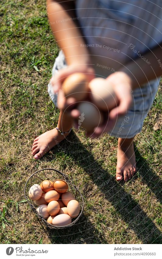 Ernte kleines Mädchen trägt einen Korb Eier in Bauernhof niedlich Lebensmittel Kind Gesundheit organisch wenig Menschen Gras Beteiligung Kaukasier Glück