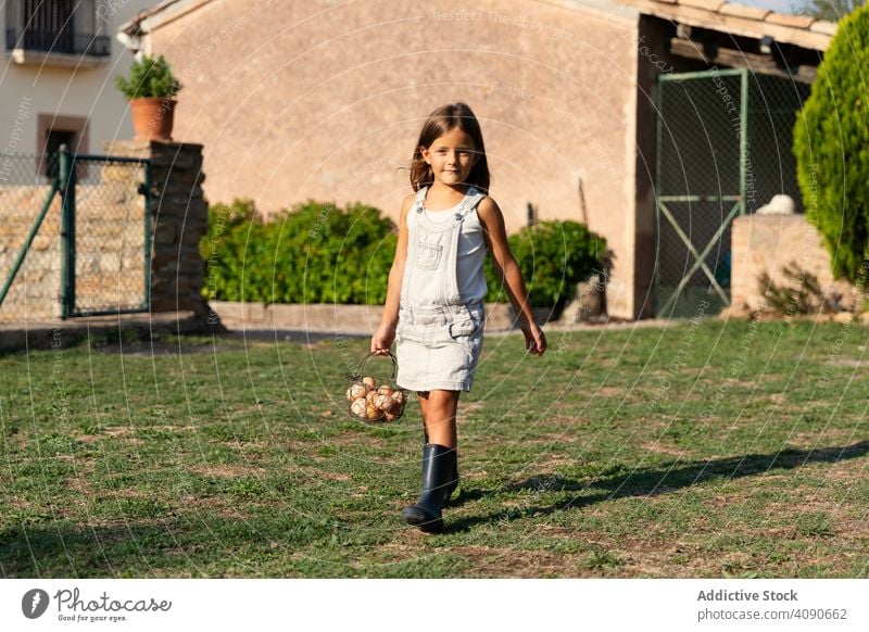 Kleines Mädchen trägt einen Eierkorb auf dem Bauernhof und schaut in die Kamera Korb niedlich Lebensmittel Kind Gesundheit organisch wenig Menschen Gras