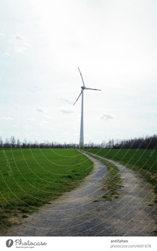 Weg Richtung Zukunft Windrad Energie Erneuerbare Energie Energiewirtschaft Windkraftanlage Himmel Elektrizität Umweltschutz Technik & Technologie