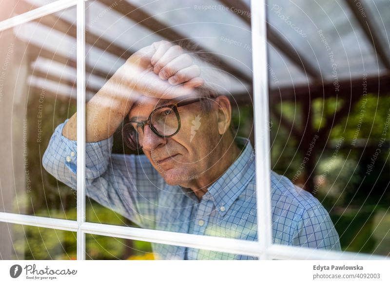 Älterer Mann schaut aus dem Fenster zu Hause Senior älter Großvater alt Rentnerin in den Ruhestand getreten gealtert reif heimwärts männlich Menschen Lifestyle