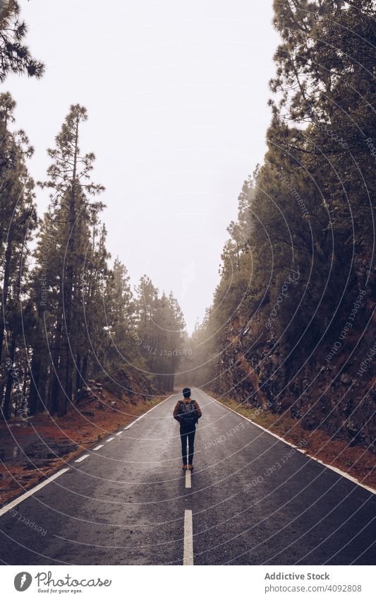 Reisende zu Fuß auf leerer Straße im Wald Reisender Rucksack Landschaft wandern Einsamkeit Nebel Wanderer Spanien Teneriffa Fahrbahn Windstille laufen ruhig