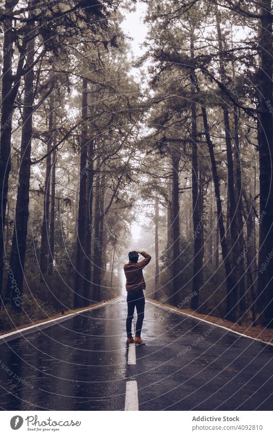 Reisende zu Fuß auf leerer Straße im Wald Fotograf fotografierend Reisender Rucksack Landschaft wandern Einsamkeit Nebel Wanderer Spanien Teneriffa Fahrbahn