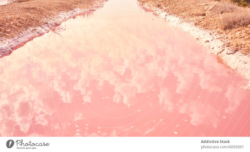 Salziges rosa Wasser am Meeresufer Formation natürlich Sommer Strand Mineral Rote Lagune marin Küste Natur MEER exotisch malerisch Becken Küstenlinie Urlaub