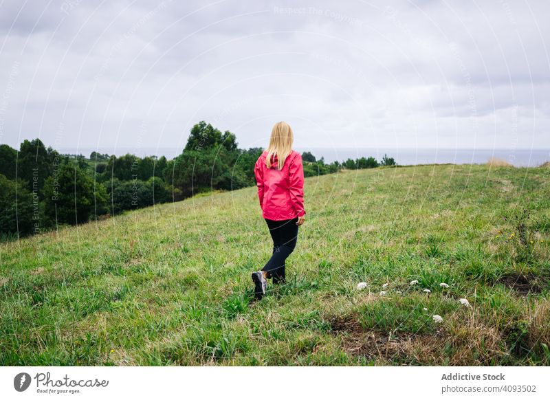 Frau steht auf dem Land und schaut weg friedlich Landschaft Feld genießend Wald Natur grün Erholung lässig Herbst Saison Dame Pflanze menschlich natürlich