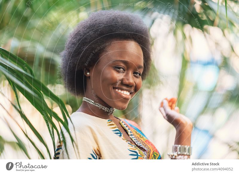Fröhliche afrikanische Dame inmitten von Palmenblättern Frau Lächeln Afrikanisch Handfläche Blatt traditionell farbenfroh Freude sich[Akk] entspannen ethnisch