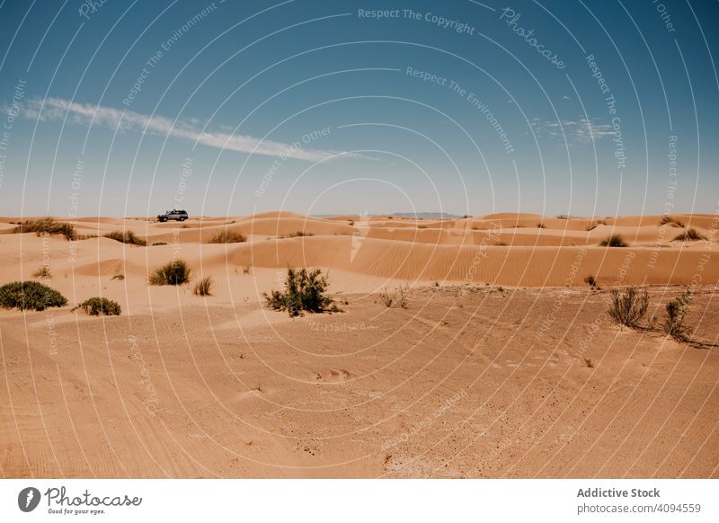 Autospuren auf Sand in der Wüste PKW Nachlauf wüst Düne trocken sonnig tagsüber Marokko Afrika Bahn reisen Ausflug Reise Landschaft niemand Tourismus Fahrzeug