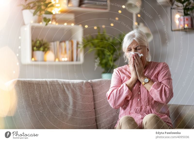 Seniorin schnäuzt sich die Nase Frau Menschen eine Person reif Rentnerinnen in den Ruhestand getreten alt älter graues Haar Kaukasier Erwachsener Lifestyle