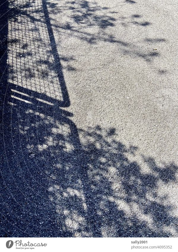 Zaun und Büsche werfen ihre Schatten auf die Straße Schattenwurf Busch Pflanze Blätter Asphalt Bürgersteig Gehweg grau Straßenbelag Sonnenlicht