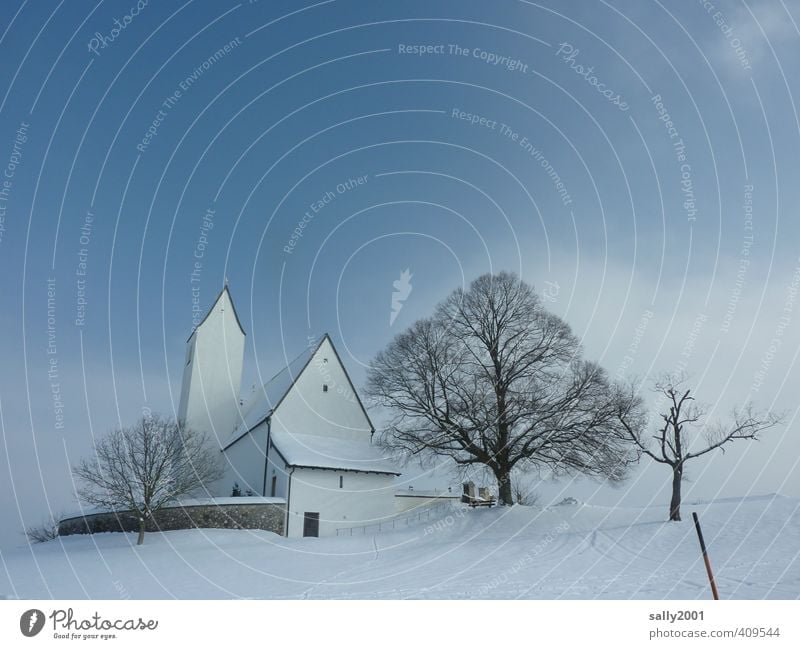 eisige Ruhe Winter Schönes Wetter Eis Frost Schnee Baum Dorf Menschenleer Kirche Kirchturm frieren weiß Sicherheit Schutz trösten ruhig Glaube Traurigkeit