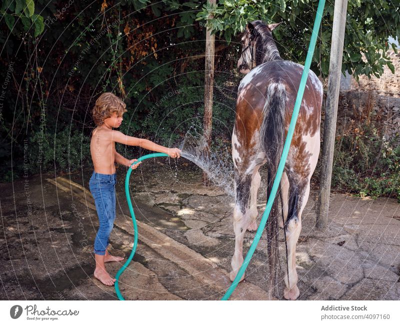 Streicheln und Waschen von Kindern im Sommer Junge Pferd Bauernhof Hengst Barfuß Schlauch Landschaft Liebe Ranch Wasser Urlaub platschen Hobby Feiertag Reiter