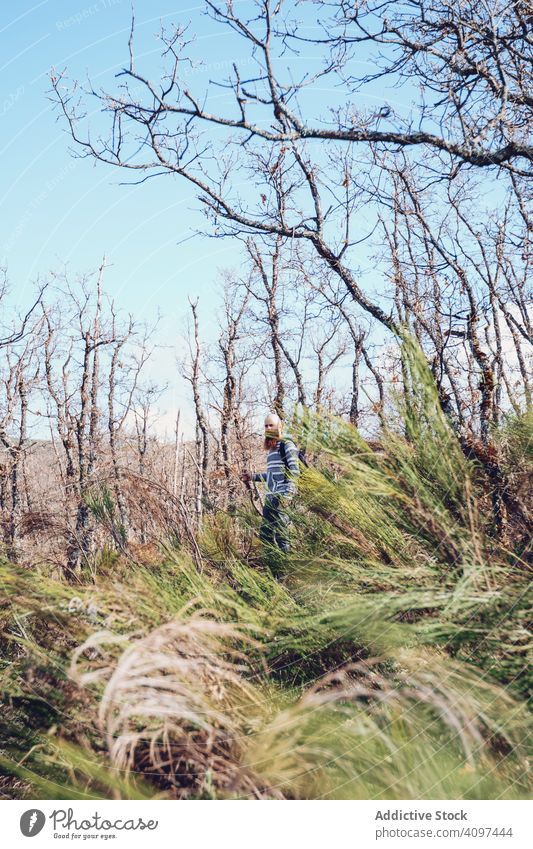 Mann wandert im kahlen Wald mit buntem hohem Gras Wanderung Abenteuer Rucksack Wildnis Natur unverhüllt laublos ländlich hoch Baum grün sonnig Blauer Himmel