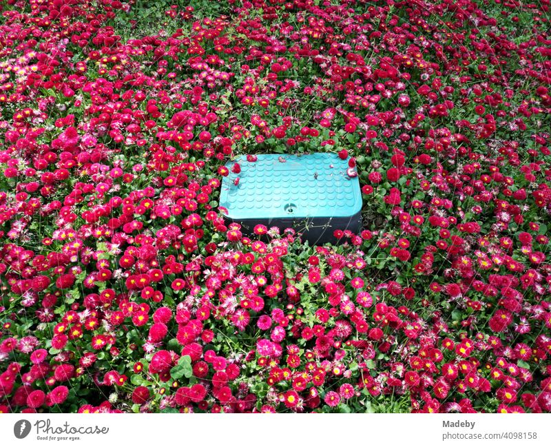 Grüner Trittschutz mit Noppen als Abdeckung in einem Blumenbeet mit roten Blüten im Sommer in Bursa in der Türkei Blütenmeer Rot Violett Garten Park Parkanlage