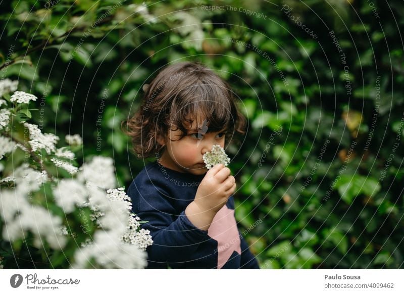 Nettes Mädchen riecht Blume 1-3 Jahre Kaukasier riechen riechend Frühling Frühlingsgefühle Frühlingsblume Neugier erkunden Farbfoto Außenaufnahme Kind Natur Tag