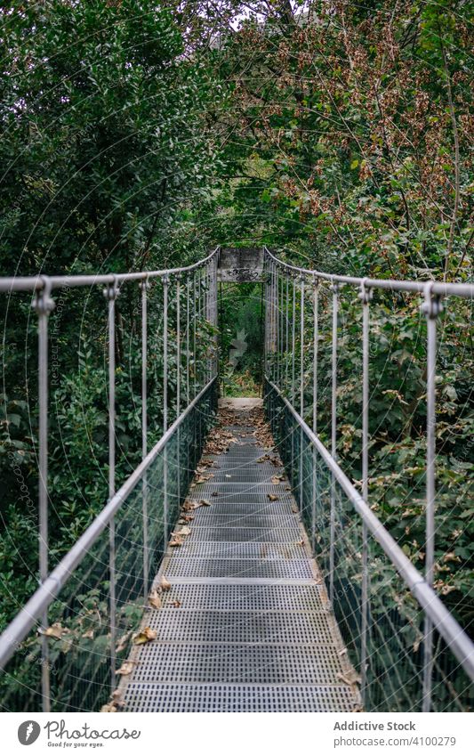 Hängende Metallbrücke durch buschigen Wald Steg erhängen Suspension durchkreuzen Schlucht Brücke Abenteuer extrem reisen Natur Reise Dschungel grün Tourismus