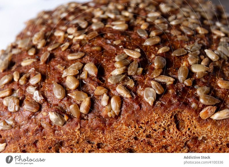 Laib Brot mit Körnern und Mohn Brotlaib Samen frisch Korn Lebensmittel Bäckerei Weizen Gesundheit selbstgemacht Küche Ernährung rustikal Rezept lang Baguette