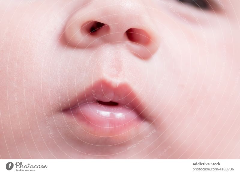 Weiches kleines Gesicht eines Säuglings Baby Haut Kind Mund Nase winzig Angebot rosa Kopf weich niedlich Pflege neugeboren wenig Gesundheit jung schön