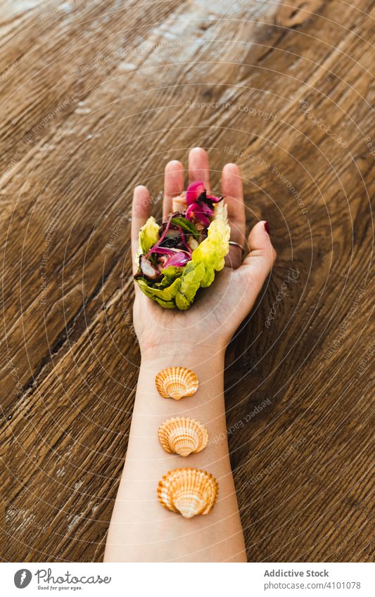 Crop weibliche Hand mit Salatwickel und Muscheln umhüllen Vegetarier Veganer frisch Mahlzeit Lebensmittel grün farbenfroh Gesundheit Salatbeilage organisch