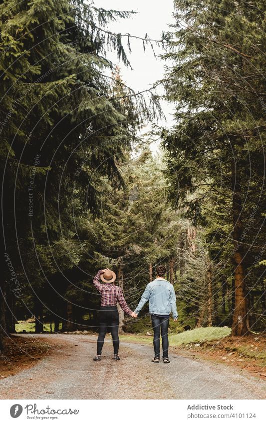 Paar geht auf Waldweg Straße Händchenhalten Spaziergang Zusammensein reisen Bäume Fichte Landschaft Schottland Schottisch Sommer Tourismus jung Aktivität Wälder