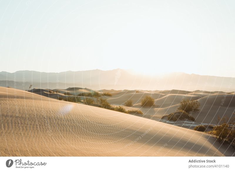 Wüste in trockenen Sanddünen im Death Valley USA Tal des Todes Fernweh wüst Dunes reisen Urlaub Regie Feiertag Sommer Freiheit Land Tourismus Landschaft