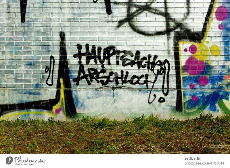 Hauptsache Arschloch arschloch aussage botschaft farbe gesprayt grafitti grafitto illustration kunst mauer message nachricht parole politik sachbeschädigung