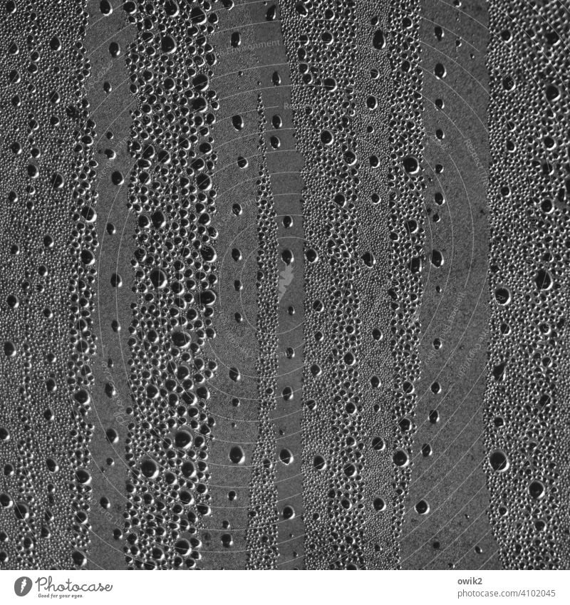 Dunkle Materie Hintergrundbild Makroaufnahme Ordnung Wassertropfen Mikrofotografie Detailaufnahme viele abstrakt Nahaufnahme Strukturen & Formen Muster