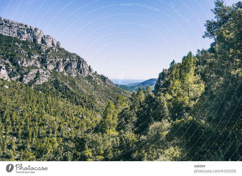 Blick vom Gipfel eines Berges in Katalonien. angefressen mehrschichtig Schlucht Natur im Freien Reiseziele Berge u. Gebirge Spanien Estragona Abstieg Moment