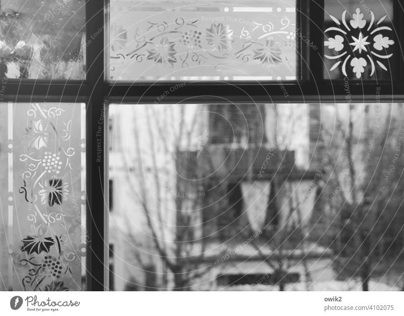 Altglas Glas alt Holz Dresden Fenster historisch Haus Ornament Vergangenheit Idylle Design Blumenmuster Durchblick Hinterhof filigran Innenaufnahme