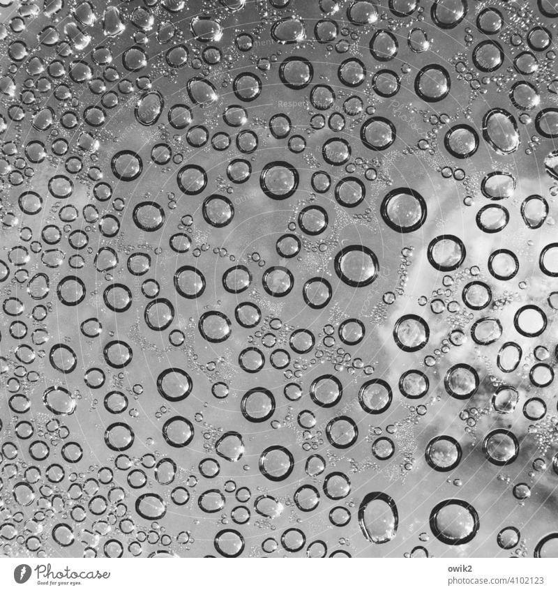Aufgerundet Hintergrundbild Makroaufnahme Ordnung Wassertropfen Mikrofotografie Detailaufnahme viele abstrakt Nahaufnahme Strukturen & Formen Muster