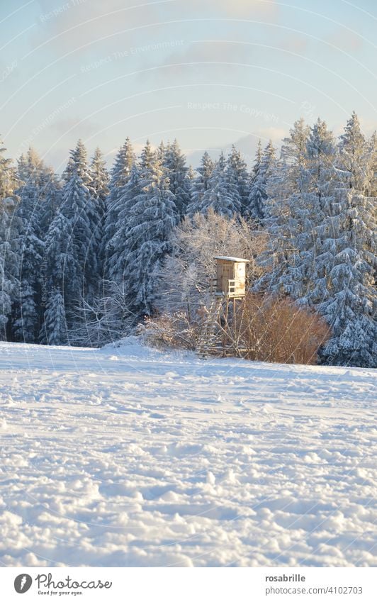 ein Hochsitz um das Wild auch in der Ferne zu beobachten | weit weg Jagd jagen Jäger Jägersitz Winter Schnee einsam warten abwarten ausharren Geduld Wald