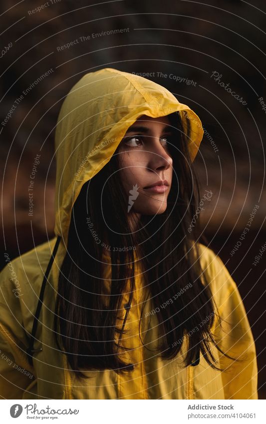 Junge Dame im gelben Regenmantel spaziert in der Natur Frau Deckblatt reisen brünett Tourismus Abenteuer Wald Kapuze Urlaub Erholung Wetter wasserdicht
