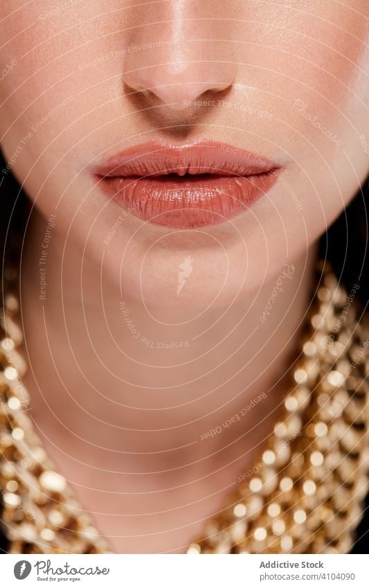 Schöne Lippen einer modischen Frau Make-up Zubehör Lippenstift golden anketten stylisch schön Model Farbe professionell Reichtum Mund Haut jung sinnlich