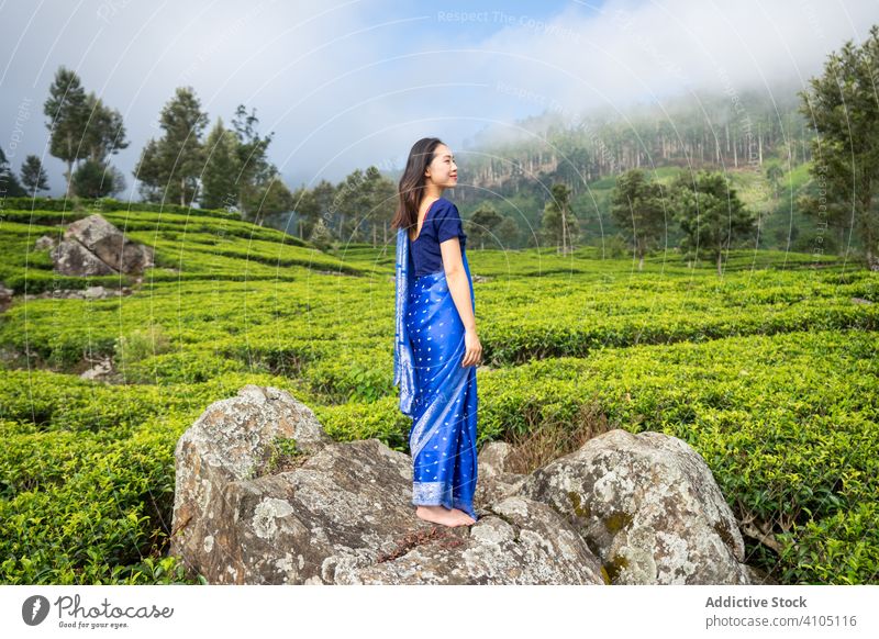 Fröhliche junge ethnische Frau auf den Teefeldern in Sri Lanka genießen Felsen reisen Landschaft Schonung Tal Sari Pflanze Natur Ackerbau Arbeiter grün